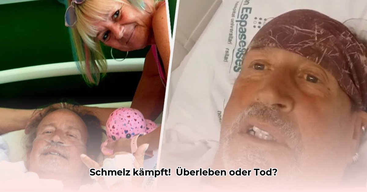 goodbye-deutschland-koma